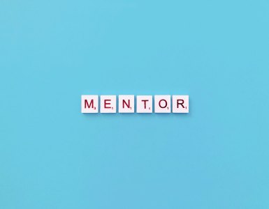 mentor-ideal-axon-training